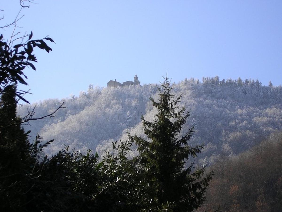 Villa Porcigliano Olive Grove Polcanto Eksteriør billede