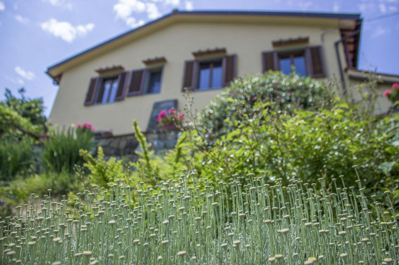 Villa Porcigliano Olive Grove Polcanto Eksteriør billede