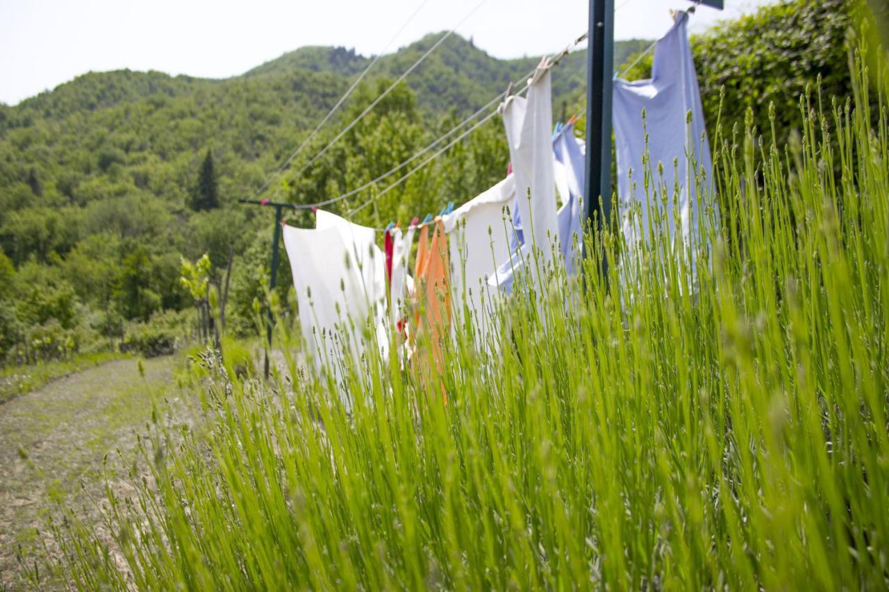 Villa Porcigliano Olive Grove Polcanto Eksteriør billede
