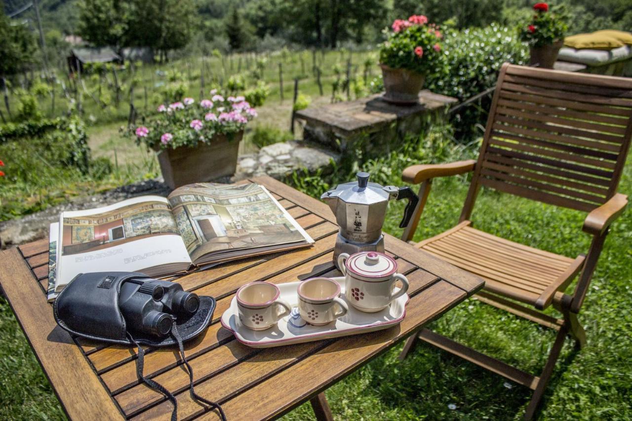 Villa Porcigliano Olive Grove Polcanto Eksteriør billede