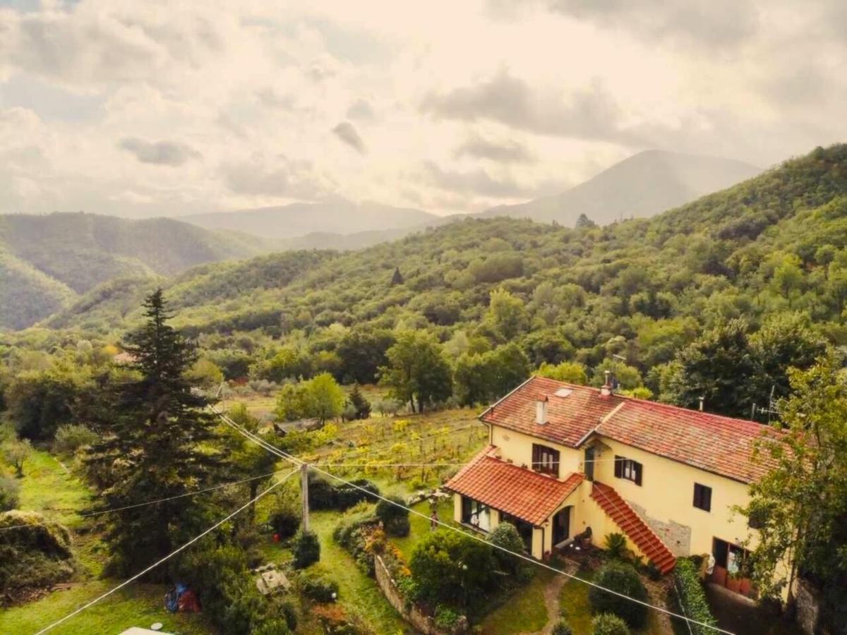 Villa Porcigliano Olive Grove Polcanto Eksteriør billede