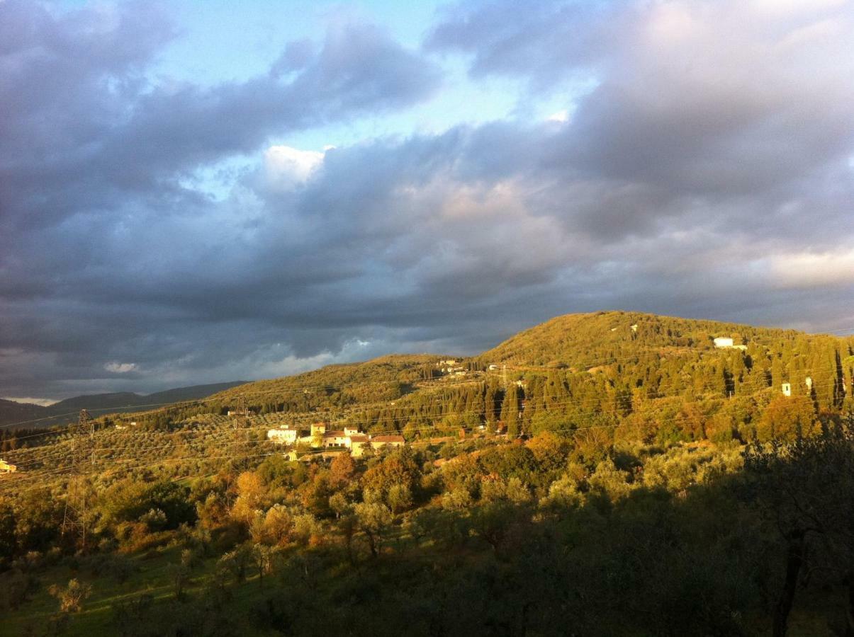 Villa Porcigliano Olive Grove Polcanto Eksteriør billede
